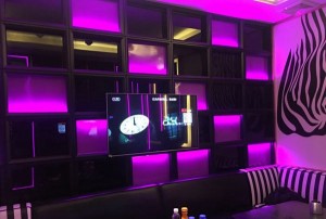 上海宝山区张庙街道附近夜场招聘商务接待,可以兼全职