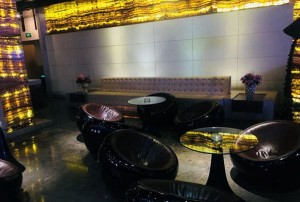 校园招聘活动宣传文案（校园精英招募·活动宣传概览）