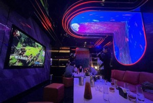 上海奉贤区海湾旅游区附近夜总会招聘包厢管家,(不抽台费)