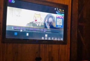 王肇文杭州豪华KTV之夜：星光璀璨的歌舞盛宴