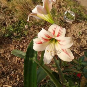 上海青浦区赵巷镇附近ktv招聘现场DJ,招聘信息靠谱吗？