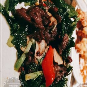 出国招聘文案（海外人才招募策略与文案）