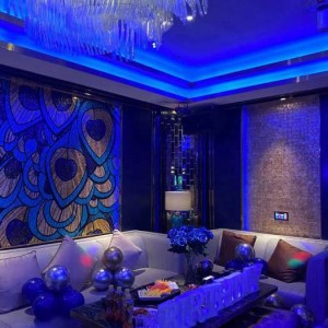 上海翻台高的酒吧招聘商务迎宾,安排住宿吗