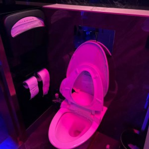 上海浦东新区泥城镇附近夜场招聘商务礼仪,是当天上班当天发薪吗？