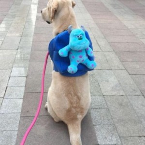 上海园区总经理招聘-聚焦行业人才网