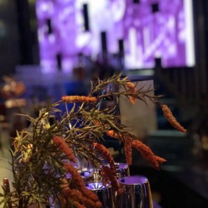 前端招聘介绍文案（探索未来界面：招募前端精英，共筑创新交互体验）