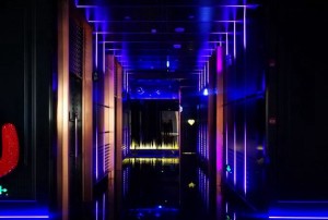 招聘女主播文案范文（引领潮流：招募魅力女主播，共筑直播梦想舞台）