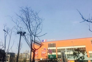 免费招聘学员文案（诚邀加入：免费学员招募计划）